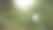 木海葵(Anemonoides nemorosa, syn. anemone nemorosa)特写，景观，自然摄影，漫射光，花，Neustadt am Ruebenberge, Neustadt am Ruebenberge，德国，欧洲摄影图片