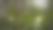 木海葵(Anemonoides nemorosa, syn. anemone nemorosa)特写，景观，自然摄影，漫射光，花，Neustadt am Ruebenberge, Neustadt am Ruebenberge，德国，欧洲摄影图片
