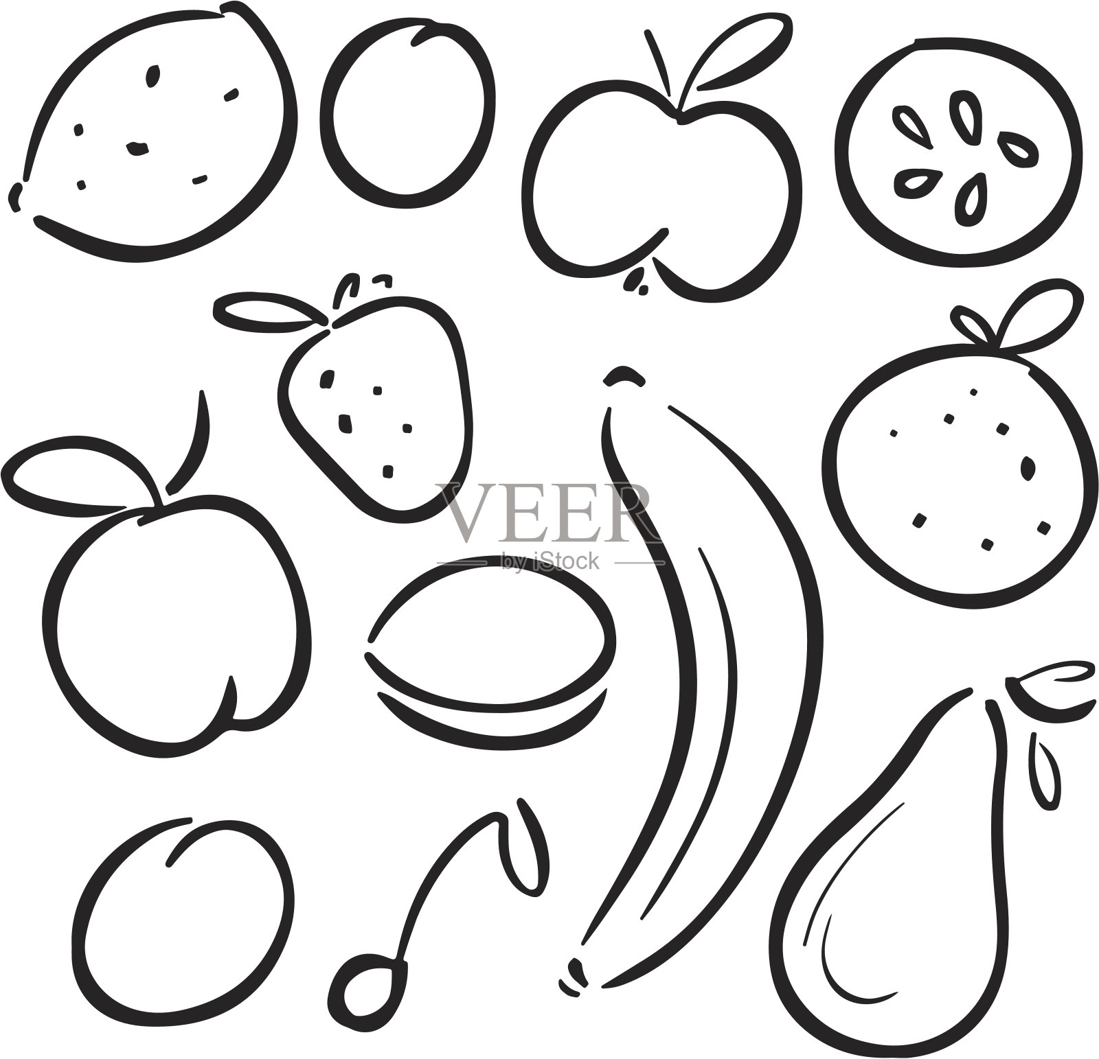 设置素描水果和浆果插画图片素材