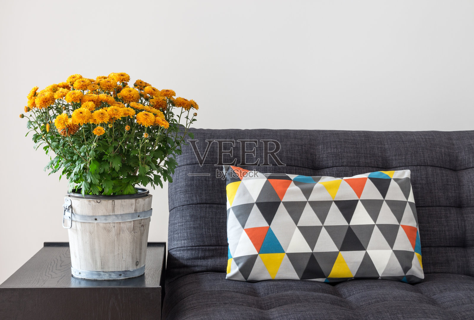 橙色菊花和明亮的沙发靠垫照片摄影图片