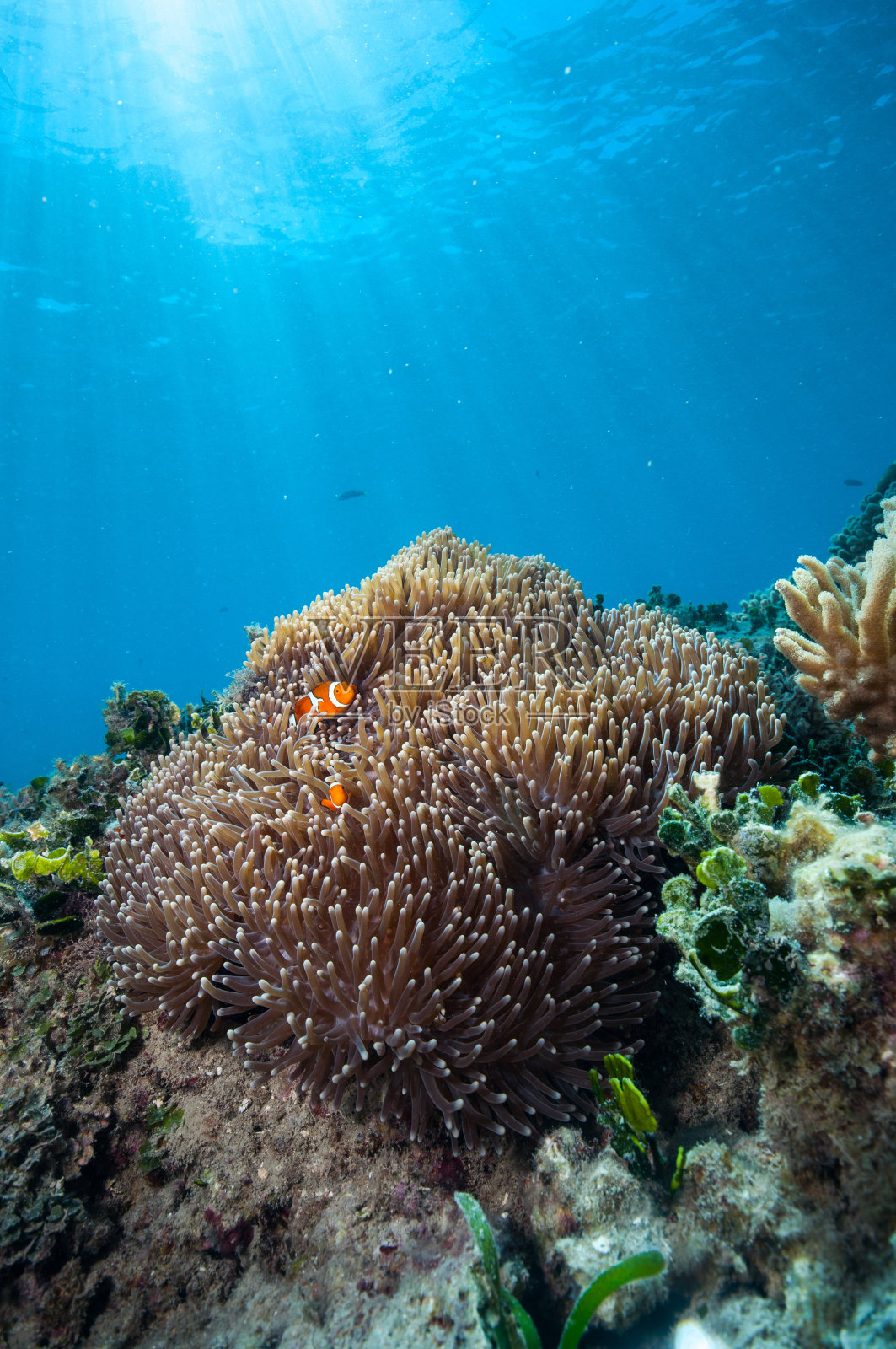 大堡礁照片摄影图片