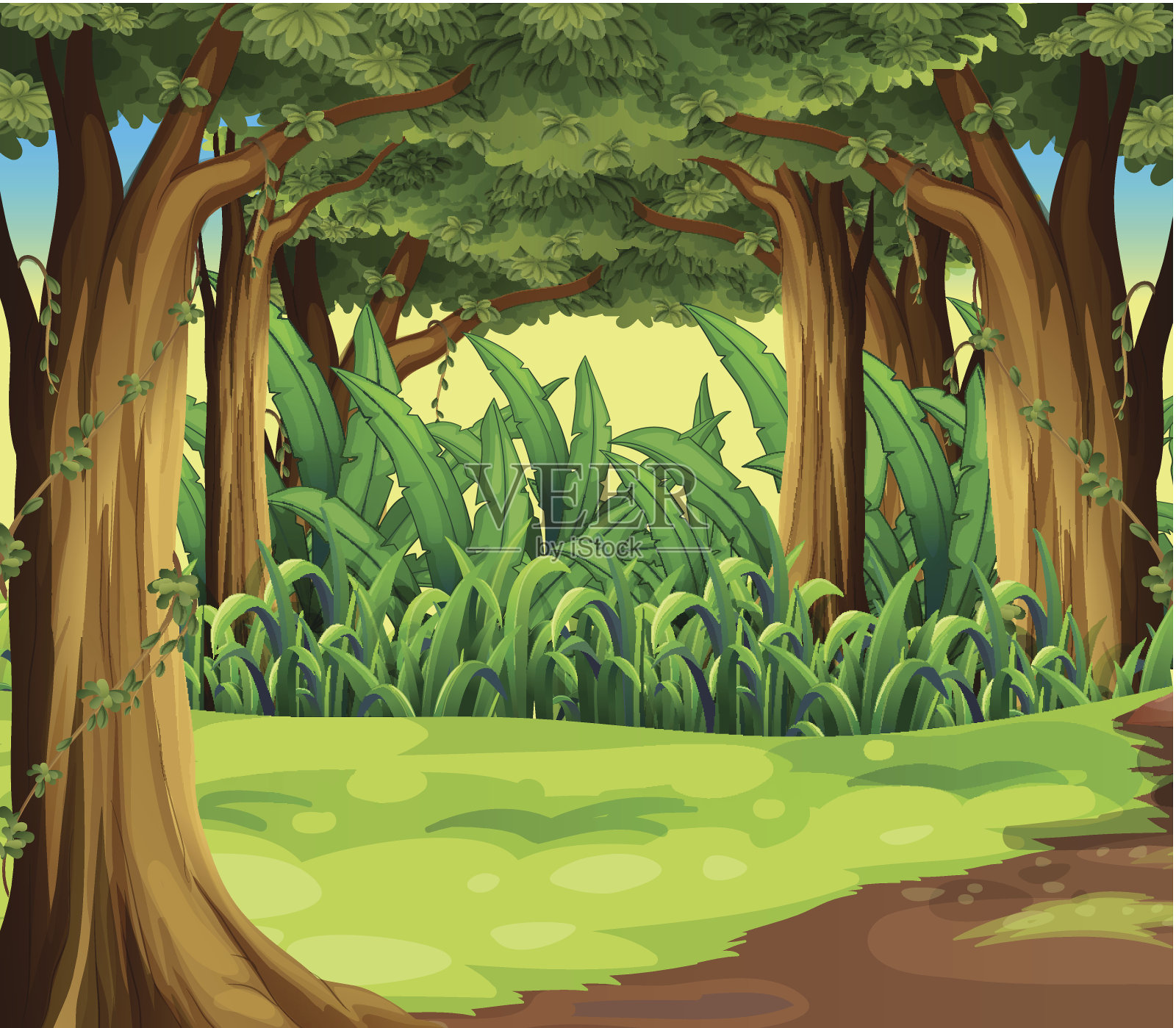 森林里有巨树插画图片素材