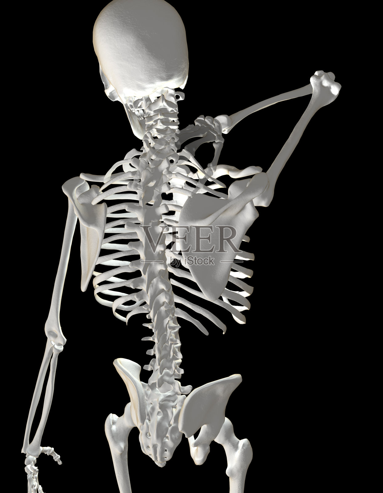 人类骨骼显示颈部疼痛设计元素图片
