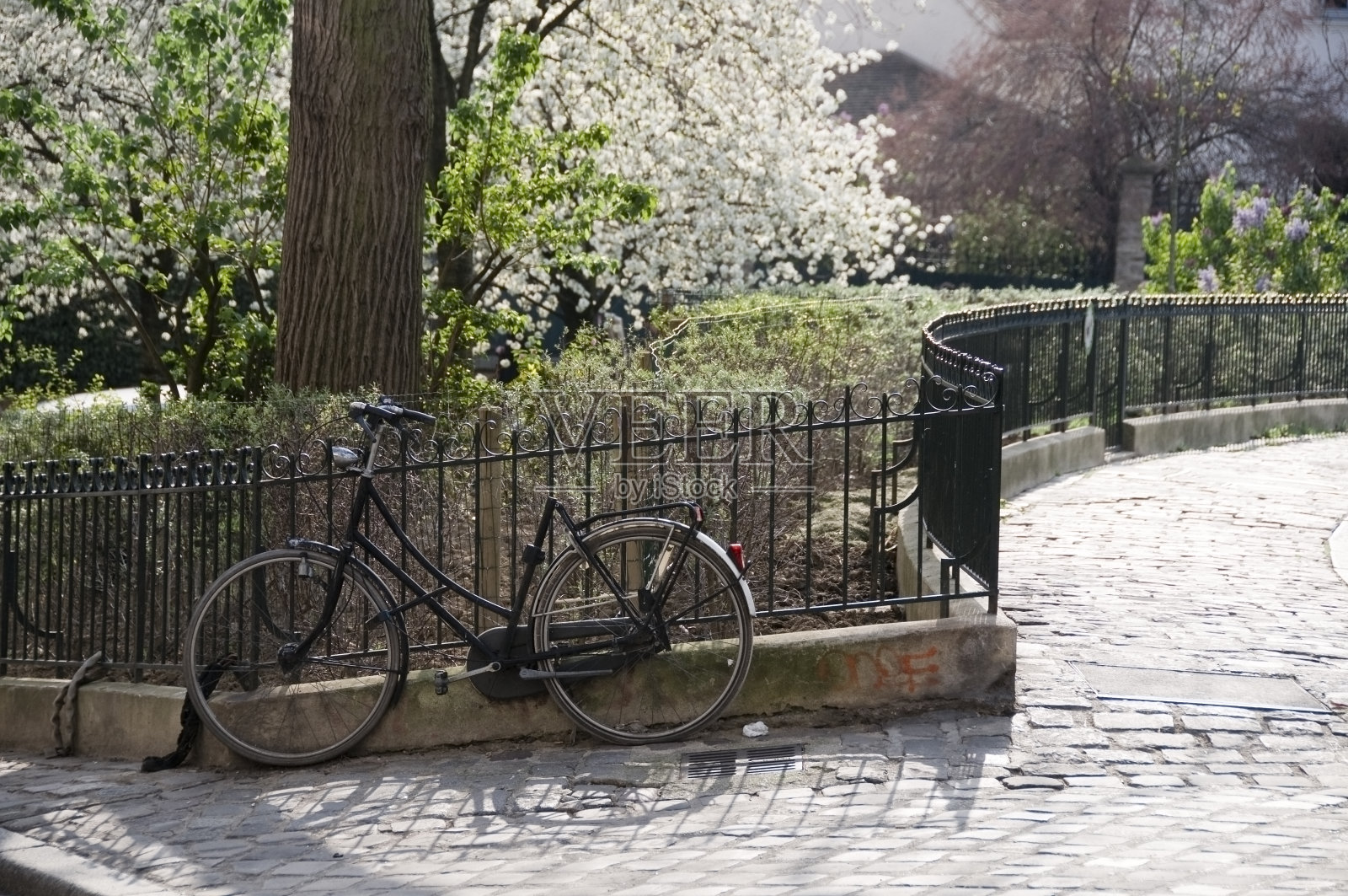 春天的自行车照片摄影图片