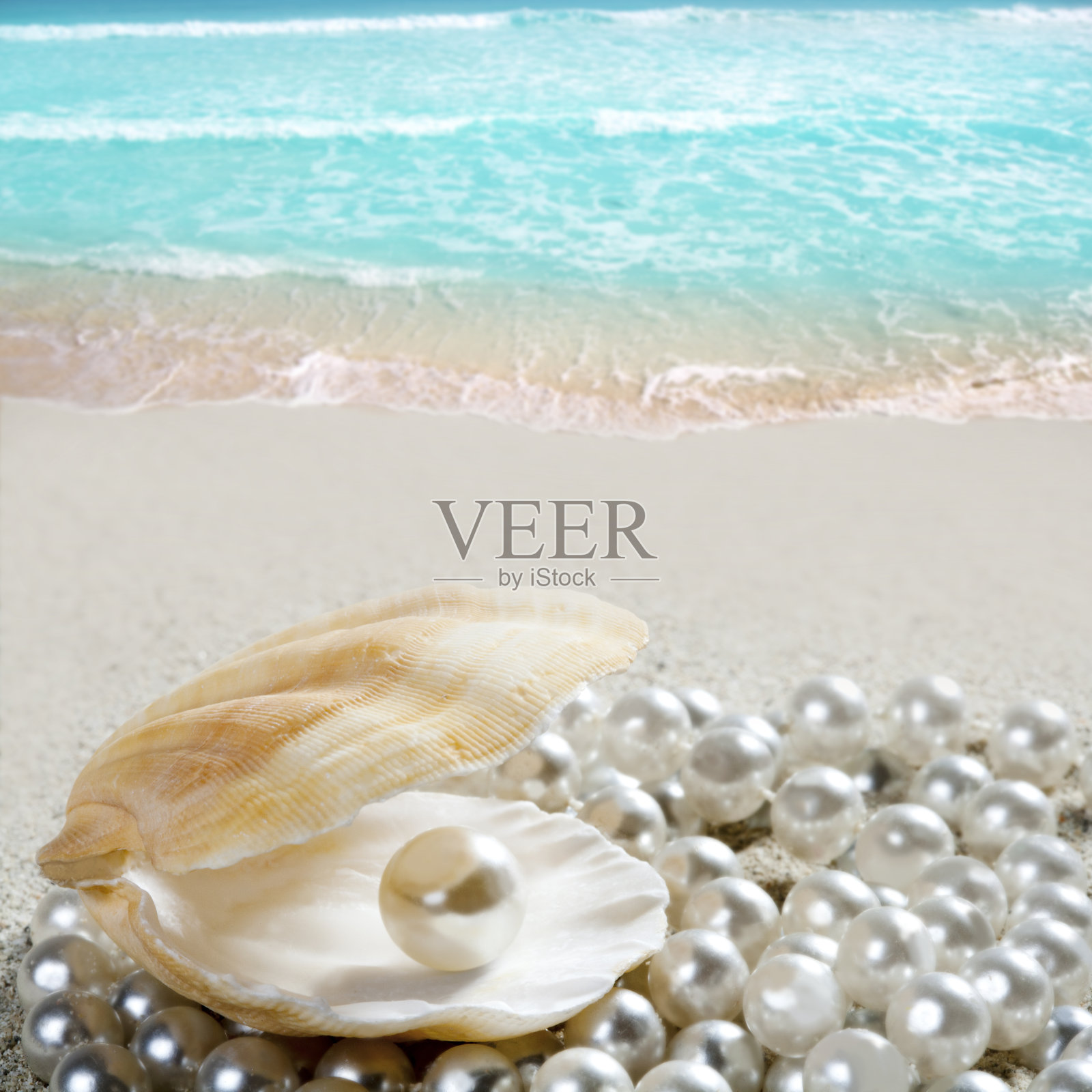 加勒比海贝壳上的珍珠，白色的热带沙滩照片摄影图片