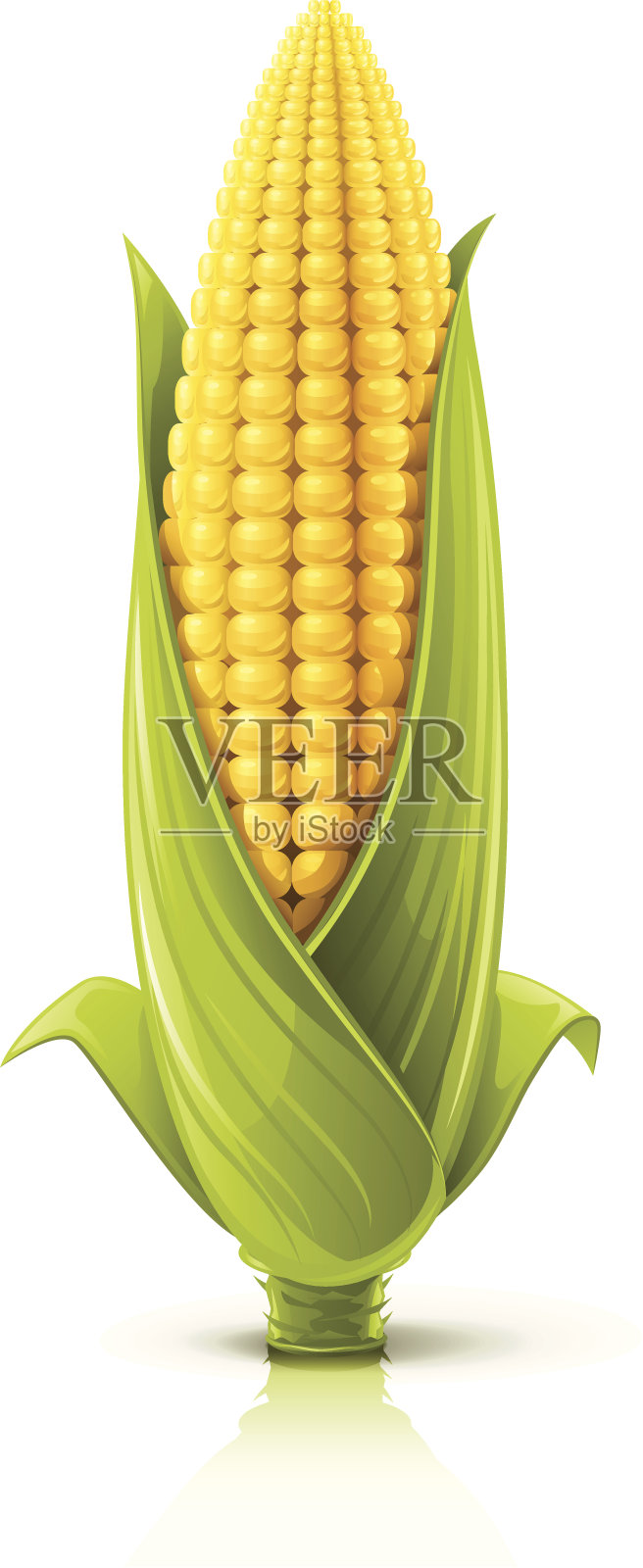 玉米棒子插画图片素材