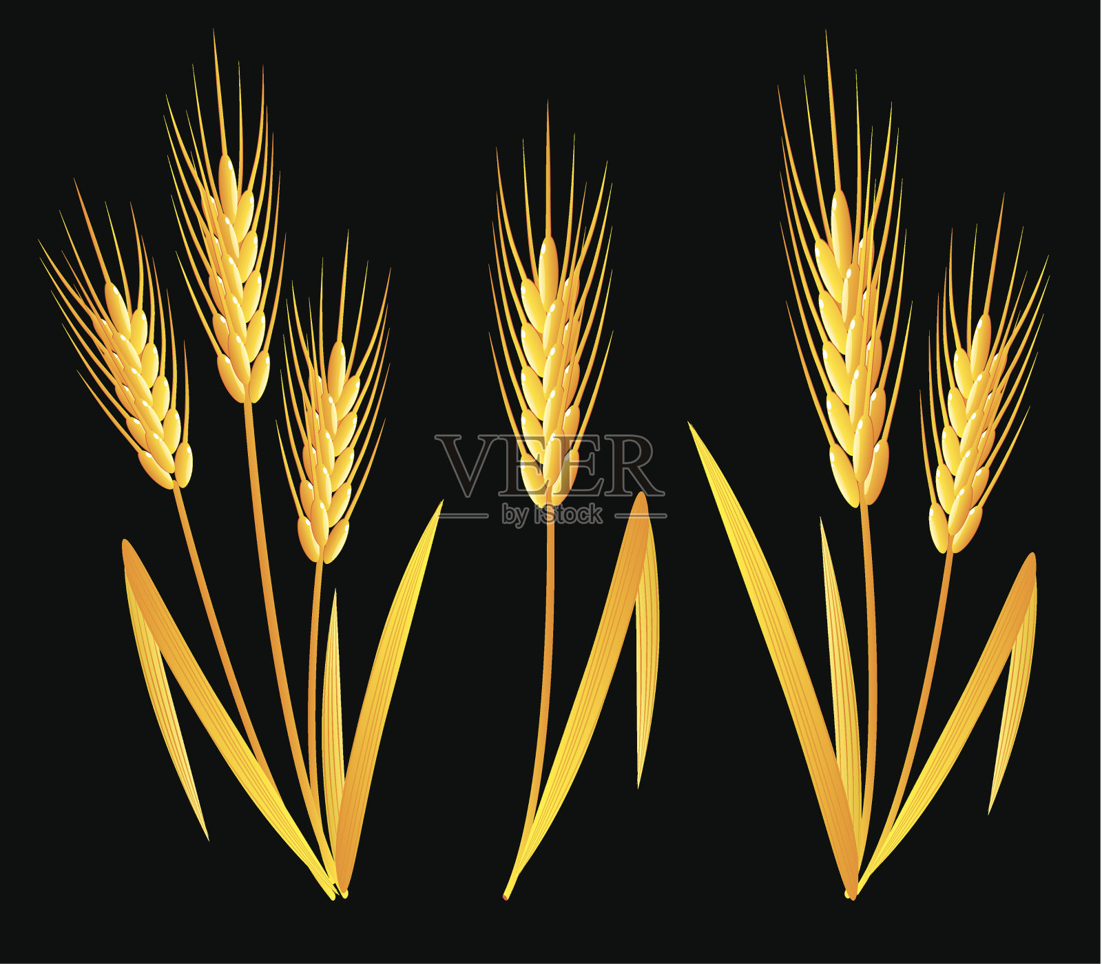金色的小麦插画图片素材