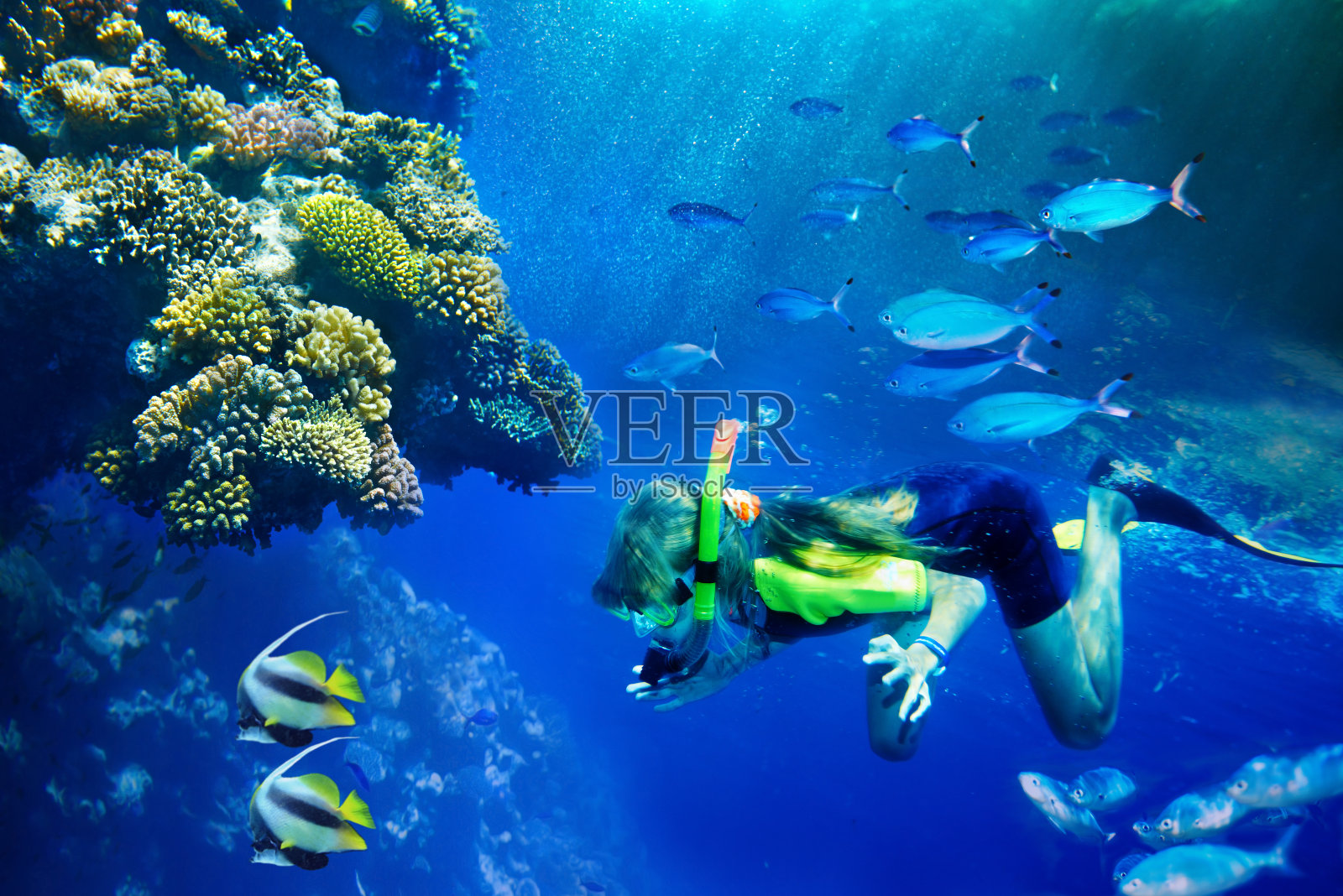 蓝色水中的一群珊瑚鱼。照片摄影图片