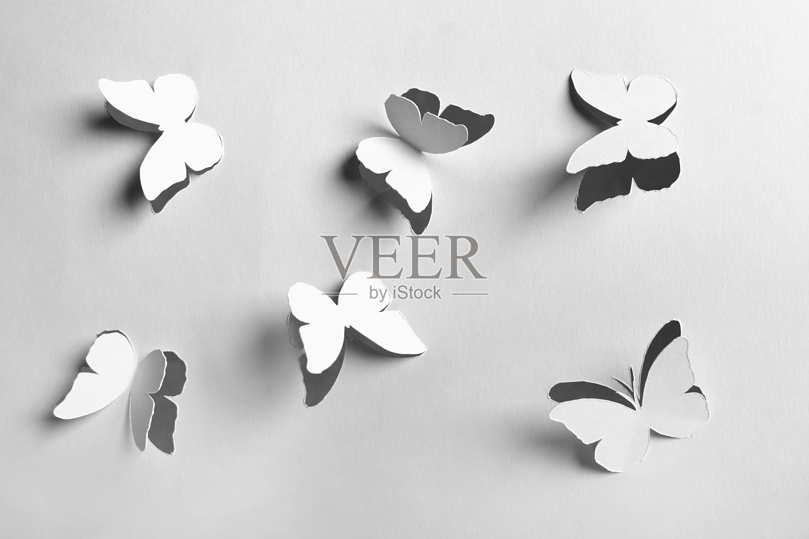 白色抽象剪纸蝴蝶照片摄影图片