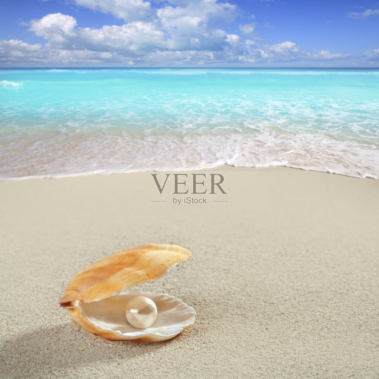 加勒比海贝壳上的珍珠，白色的热带沙滩照片摄影图片