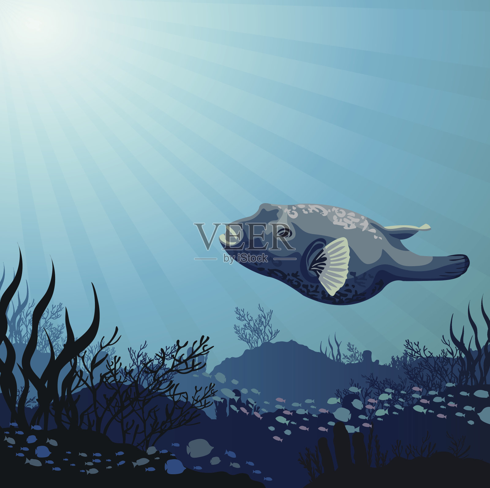 大鱼和珊瑚插画图片素材