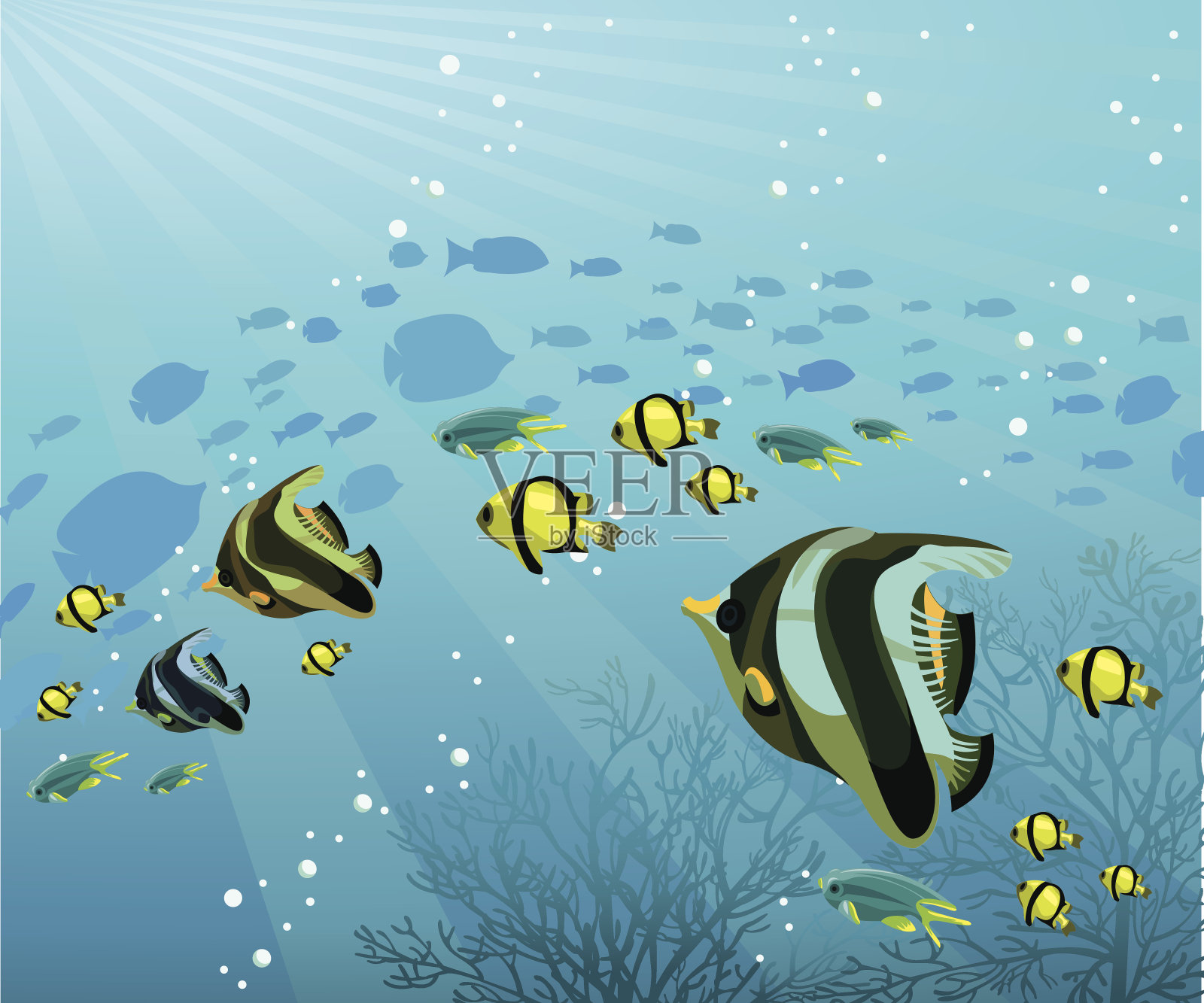 一群彩色的鱼在海里插画图片素材