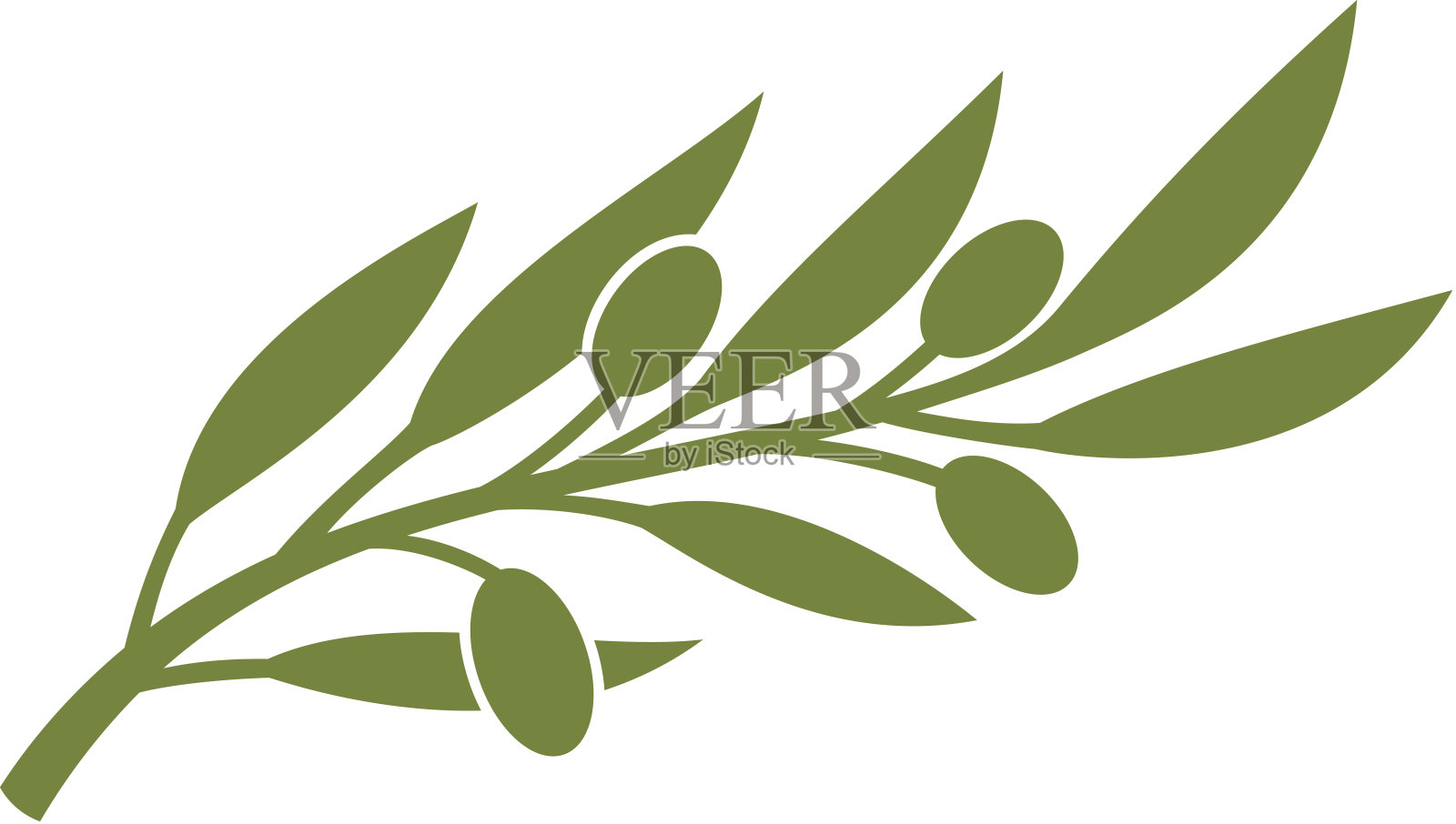 橄榄枝插画图片素材