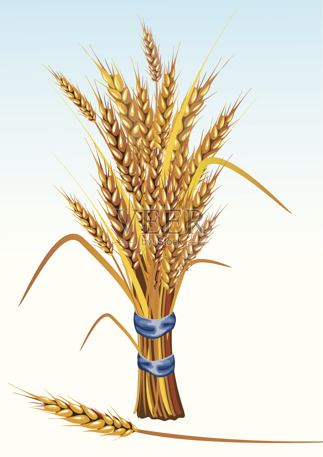 小麦插画图片素材