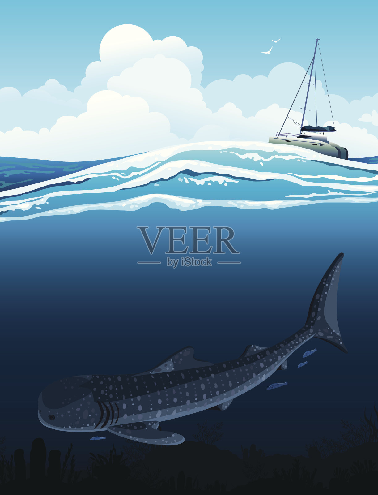 鲸鲨和鲸船插画图片素材
