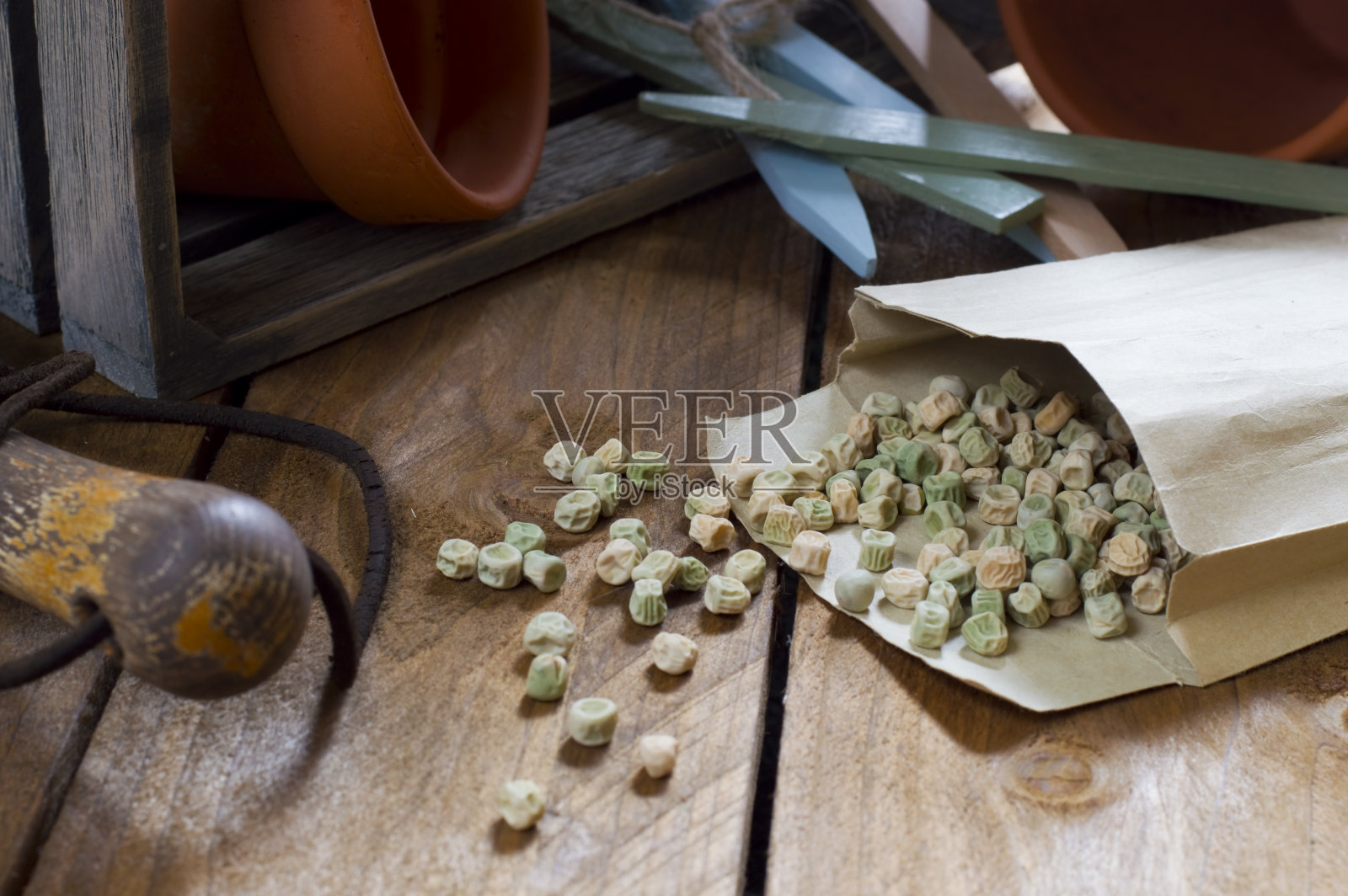 园艺-豌豆种子照片摄影图片