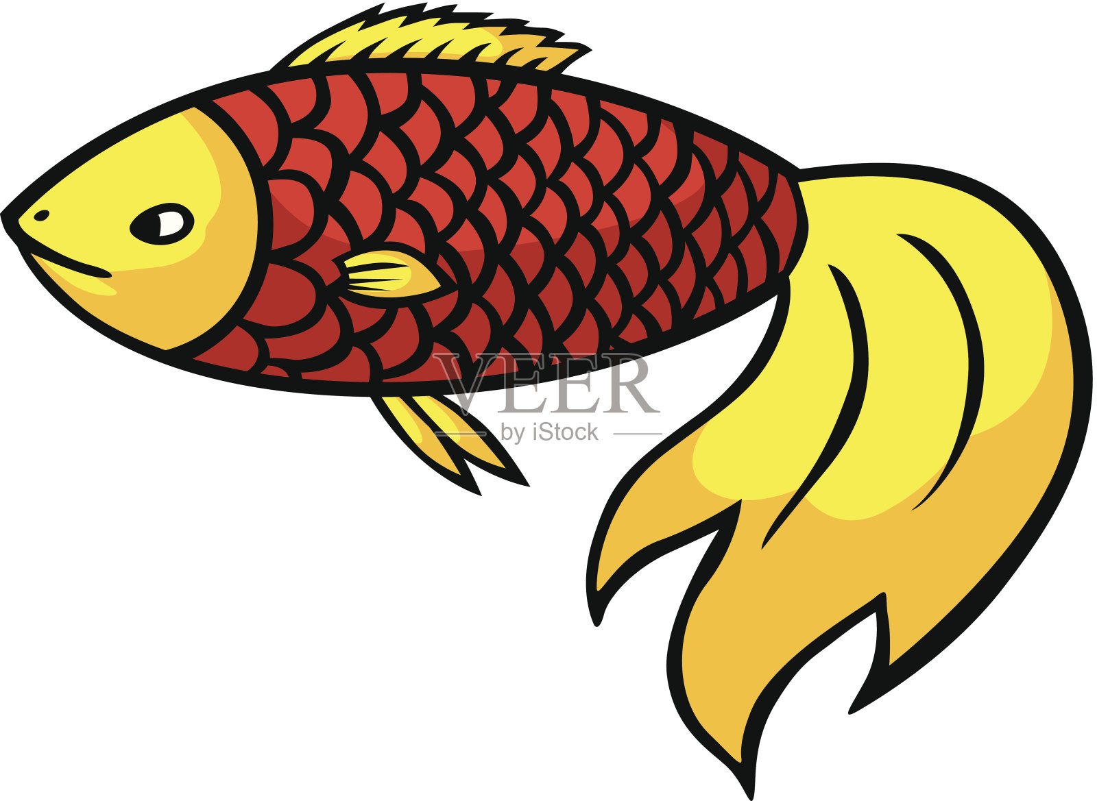 美丽的鱼插画图片素材
