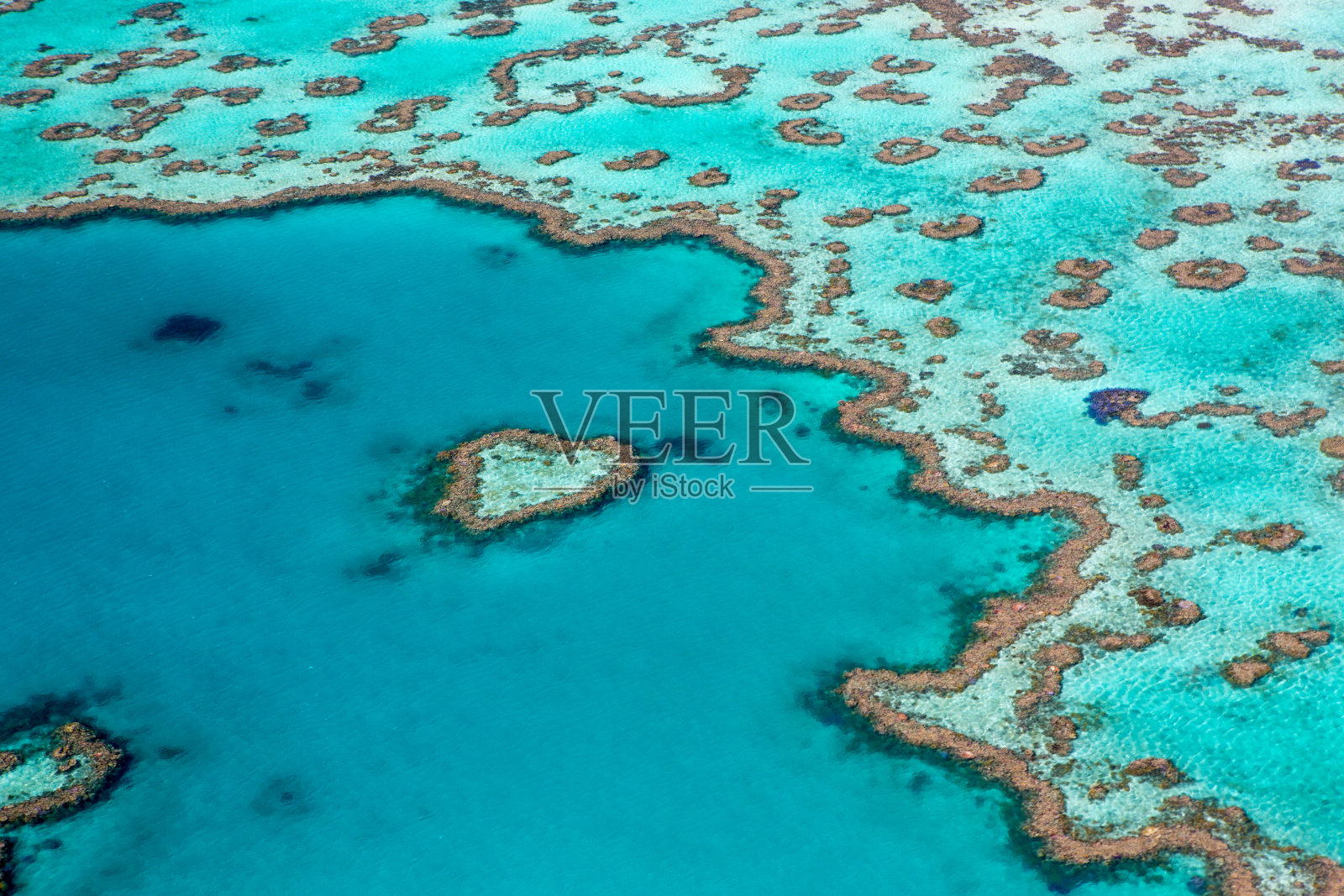 心形珊瑚礁照片摄影图片