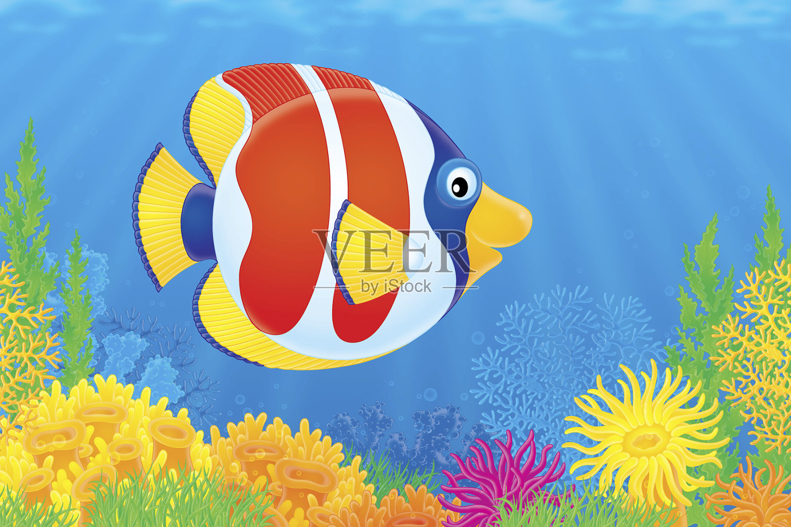 珊瑚礁鱼插画图片素材