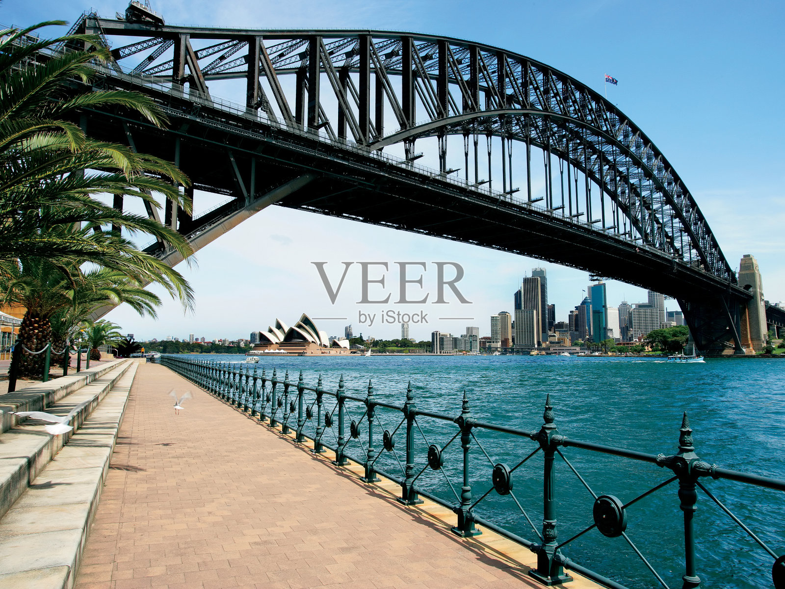 悉尼海港大桥照片摄影图片