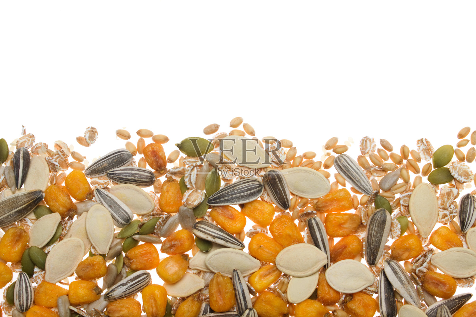 白色背景上的谷物、种子和谷物照片摄影图片