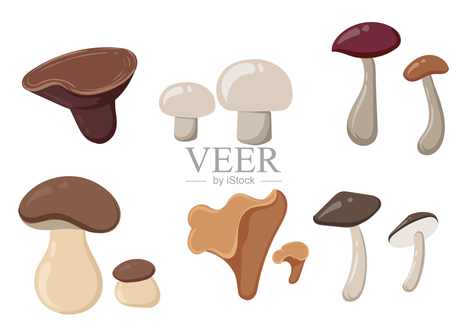 不同类型的蘑菇设置，矢量插图图标插画图片素材