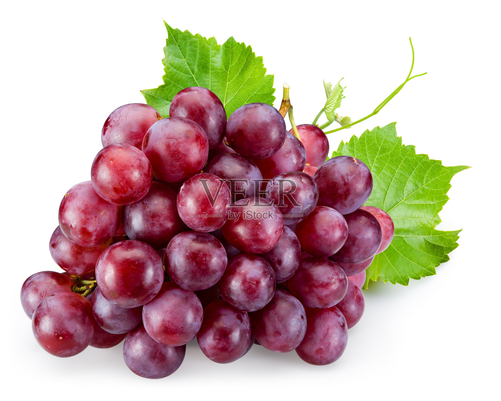 成熟的红葡萄与叶孤立在白色照片摄影图片
