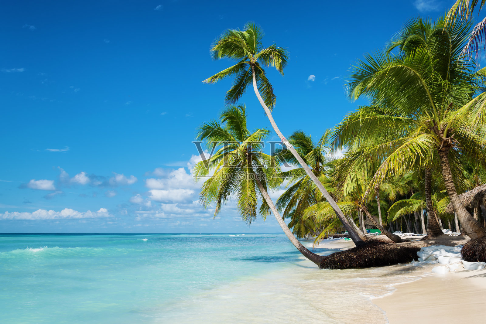 多米尼加共和国绍纳岛的加勒比海滩照片摄影图片