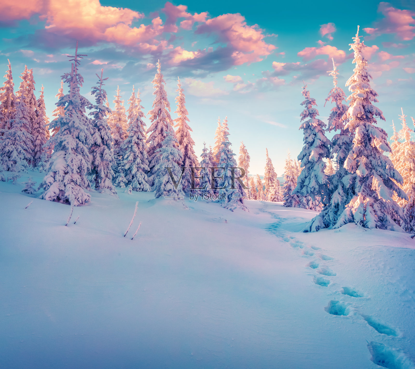 喀尔巴阡森林里五颜六色的冬日日出照片摄影图片