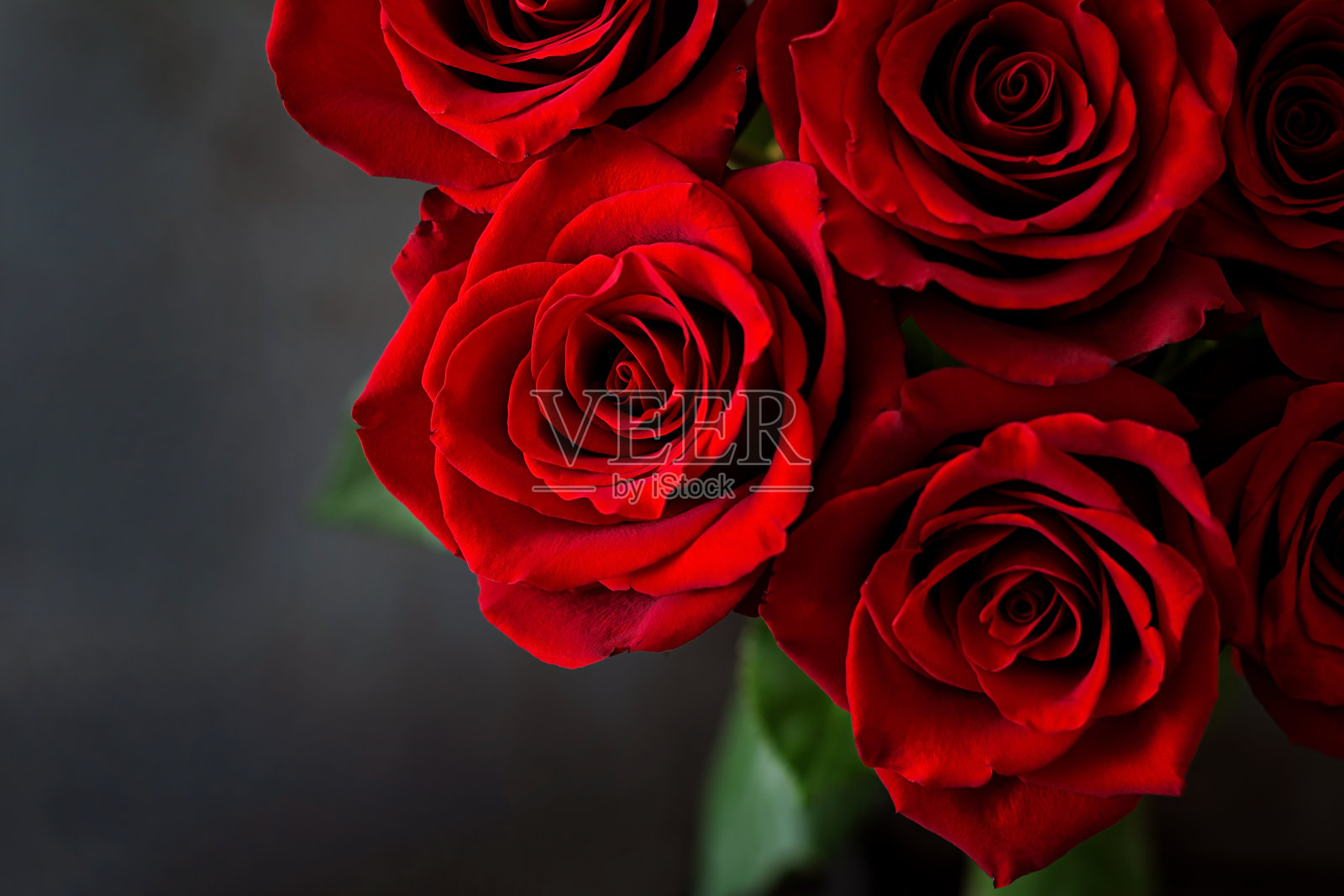 黑色背景上的一束红玫瑰。俯视图插画图片素材