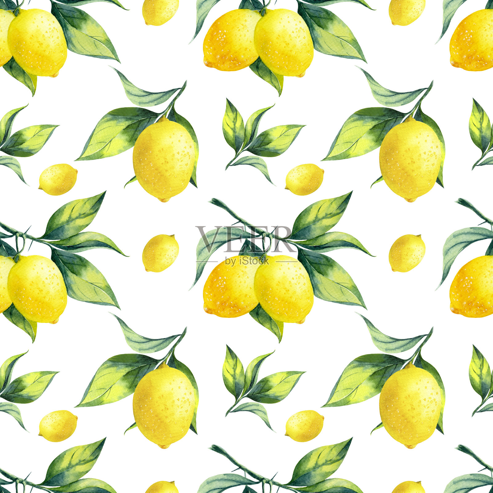 水彩无缝柠檬图案的白色背景。插画图片素材