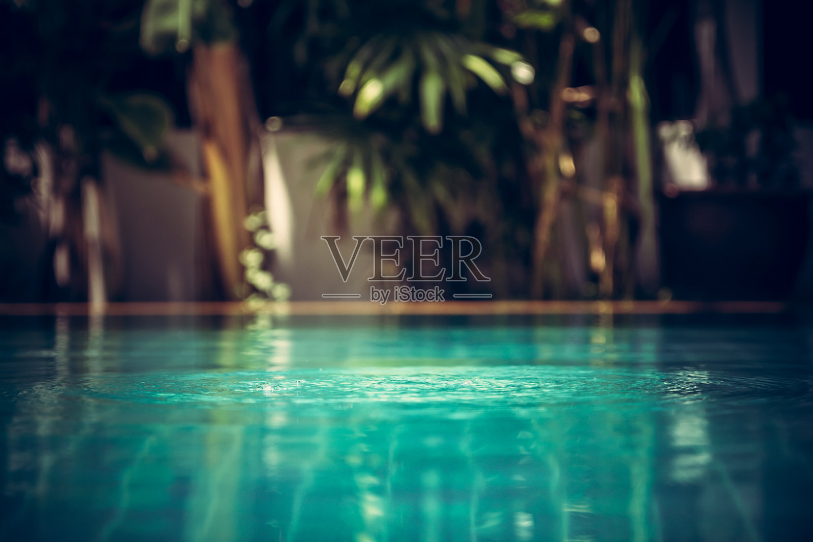 游泳池背景在复古风格与绿松石水和热带植物模糊的背景上的涟漪照片摄影图片