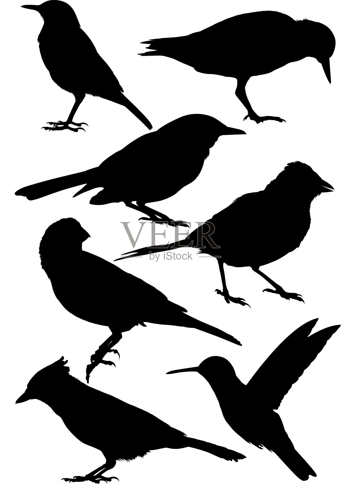 鸟的轮廓设计元素图片