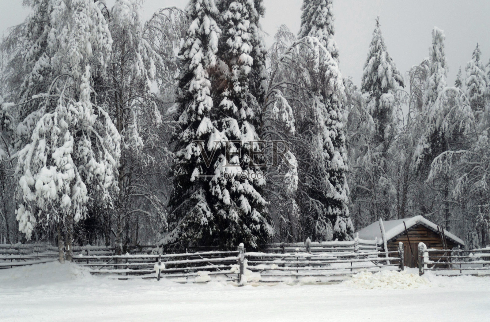 下雪的场景照片摄影图片