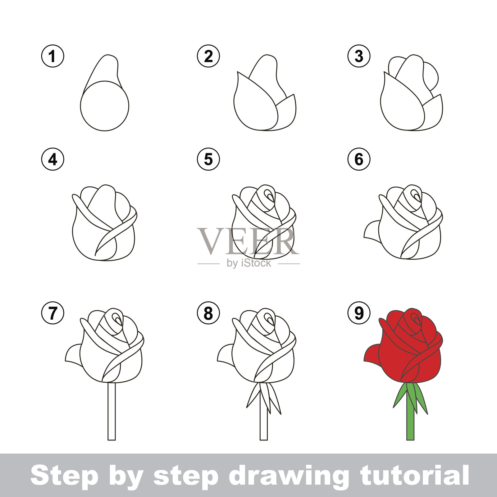玫瑰花图画教程图片