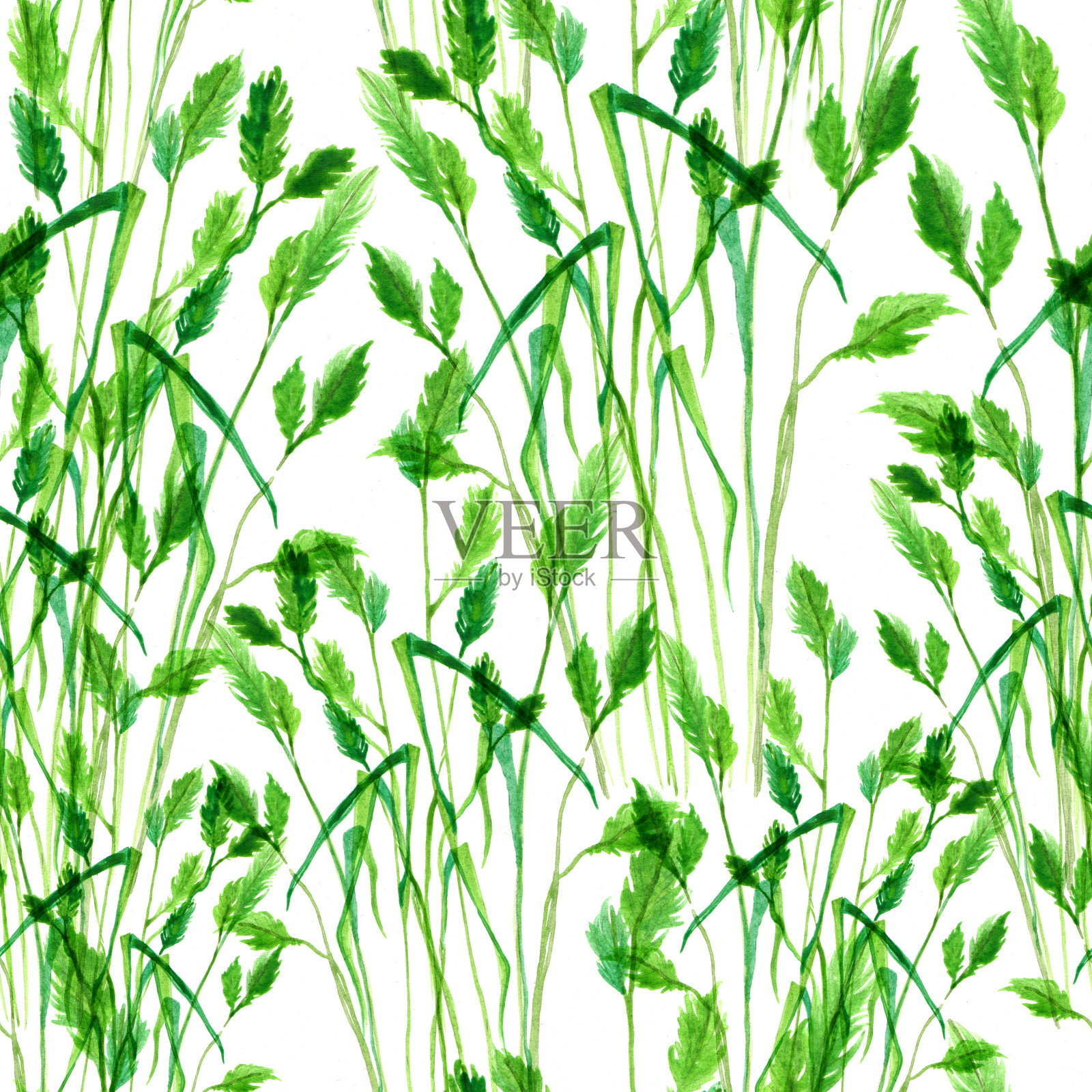 水彩草-无缝图案插画图片素材