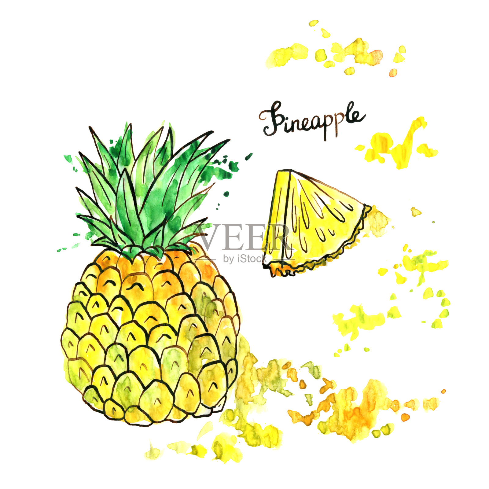 手绘菠萝插画图片素材