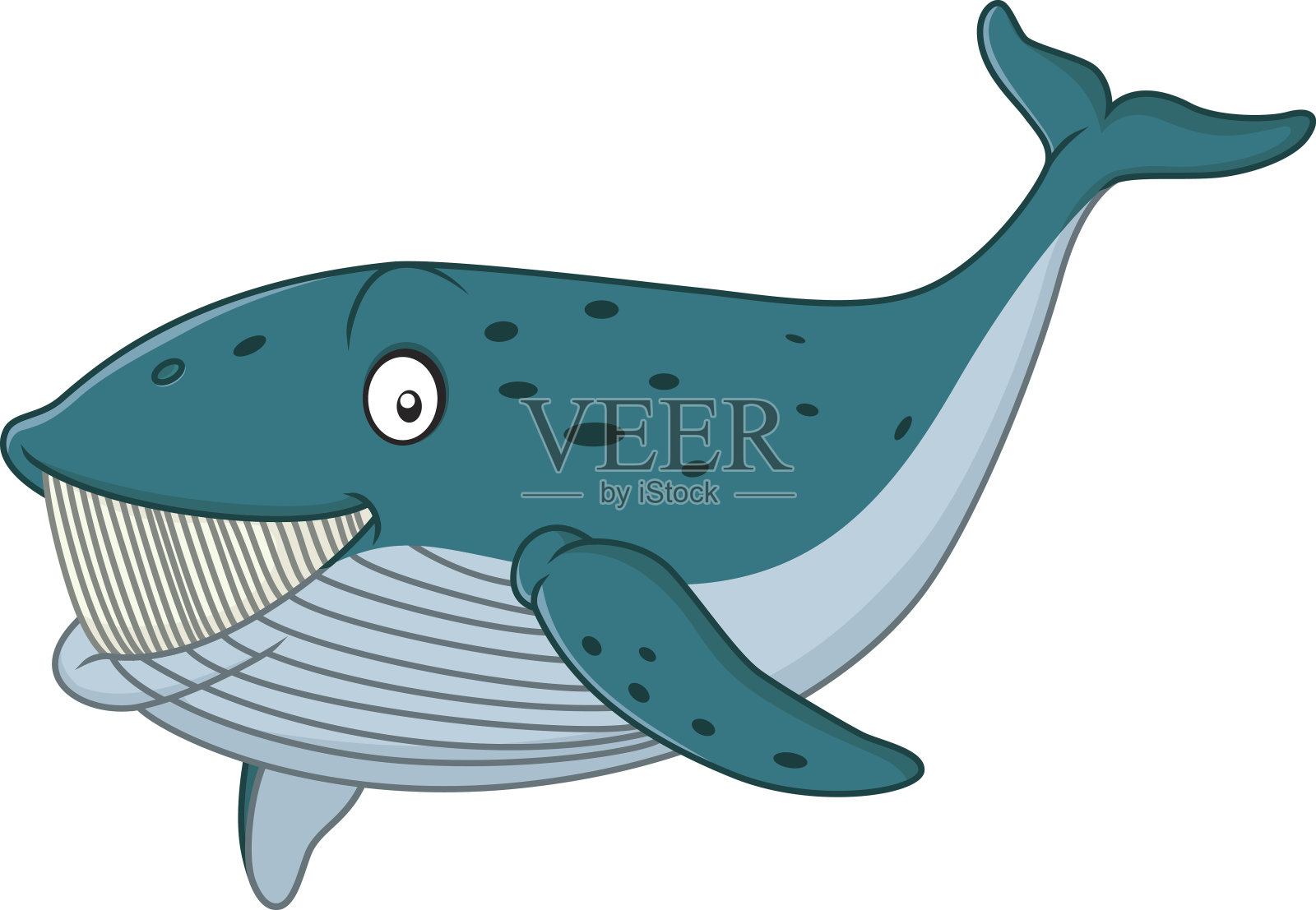 卡通鲸鲨孤立在白色背景插画图片素材
