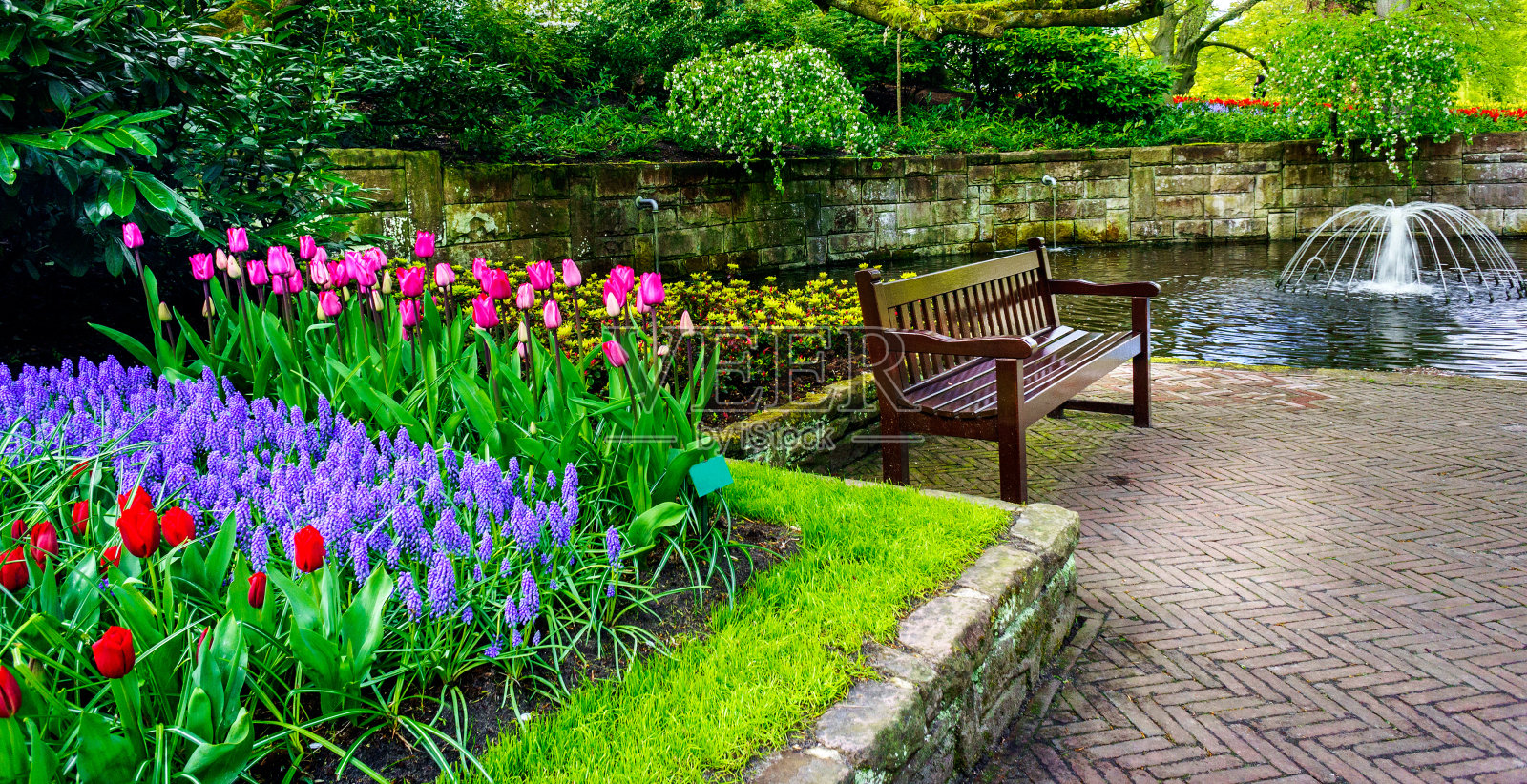 长凳在五彩缤纷的春天花园里，库肯霍夫。荷兰。照片摄影图片