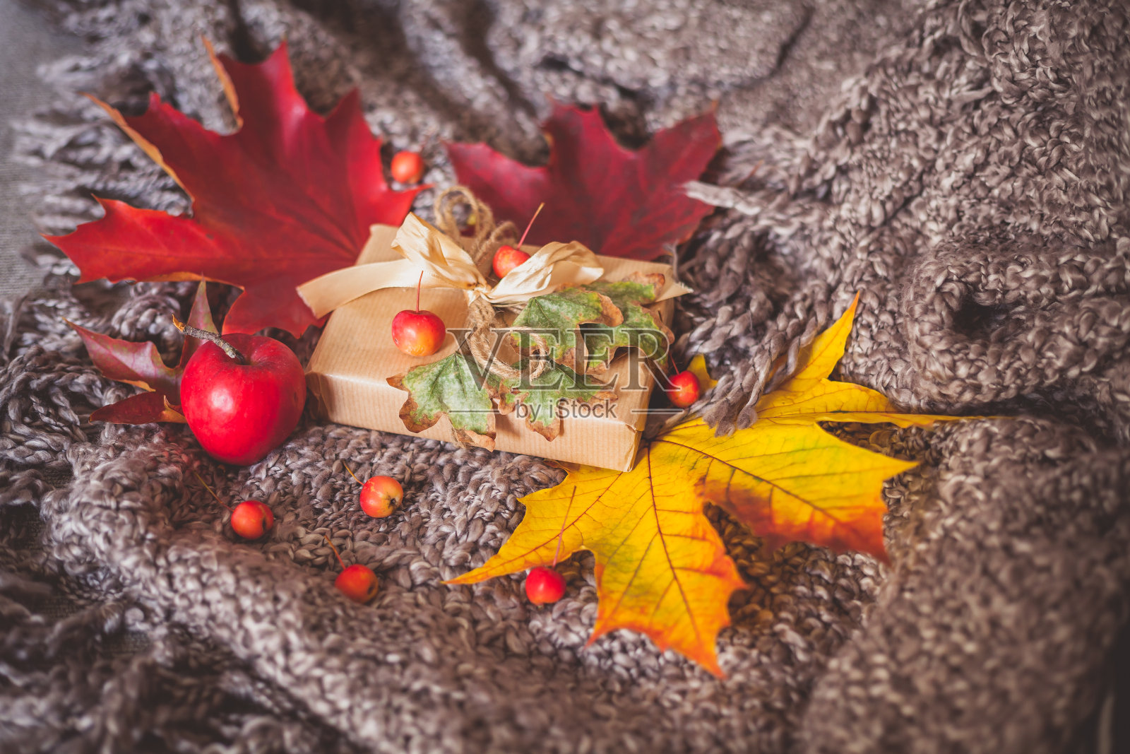 包装好的礼物，干树叶和小红苹果照片摄影图片