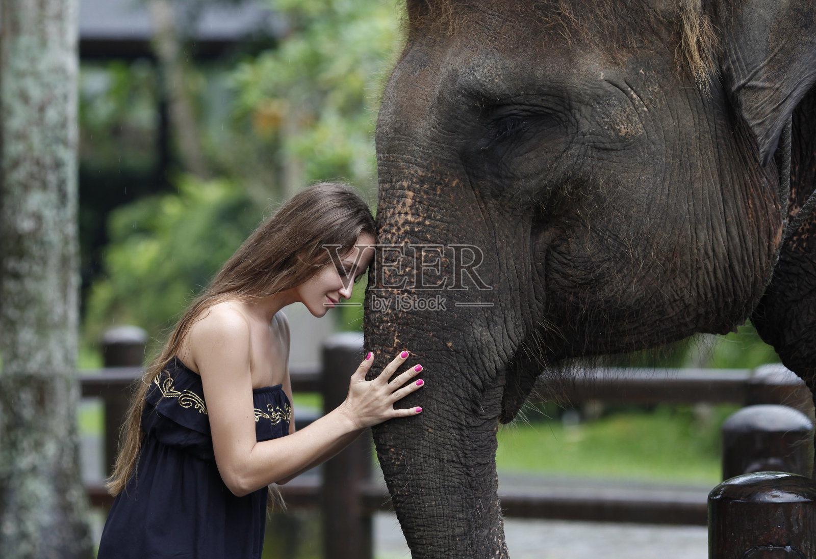 模特抱着一头大象照片摄影图片