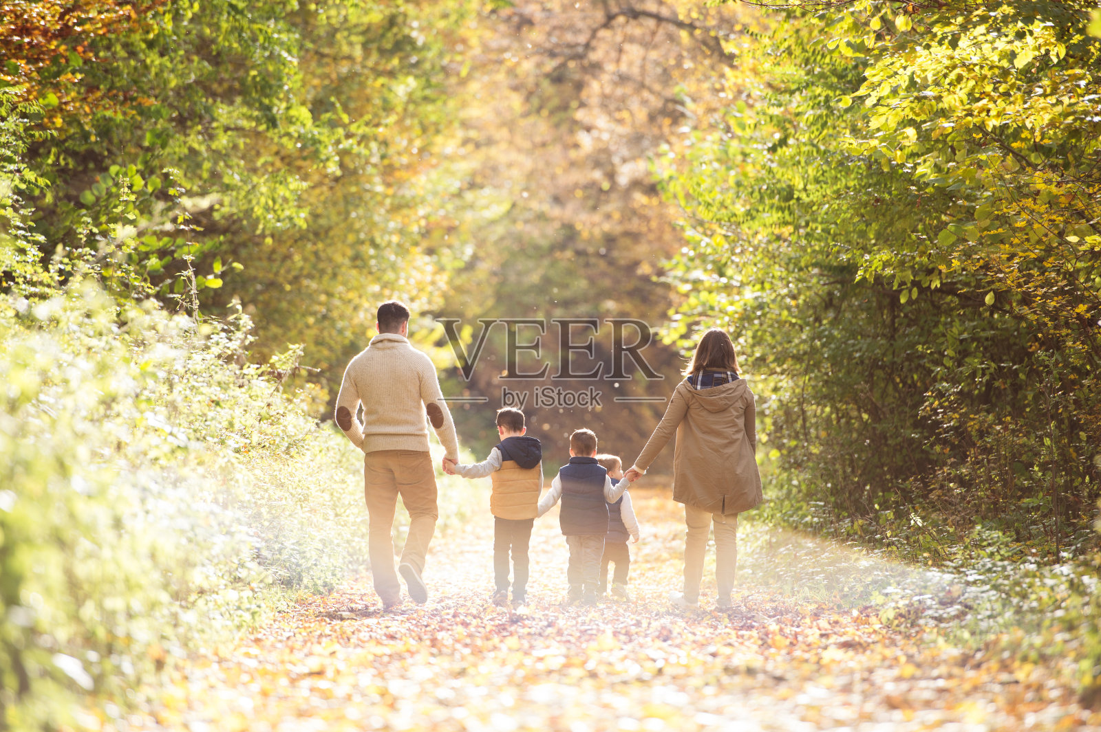 美丽的年轻家庭漫步在秋天的森林里。照片摄影图片