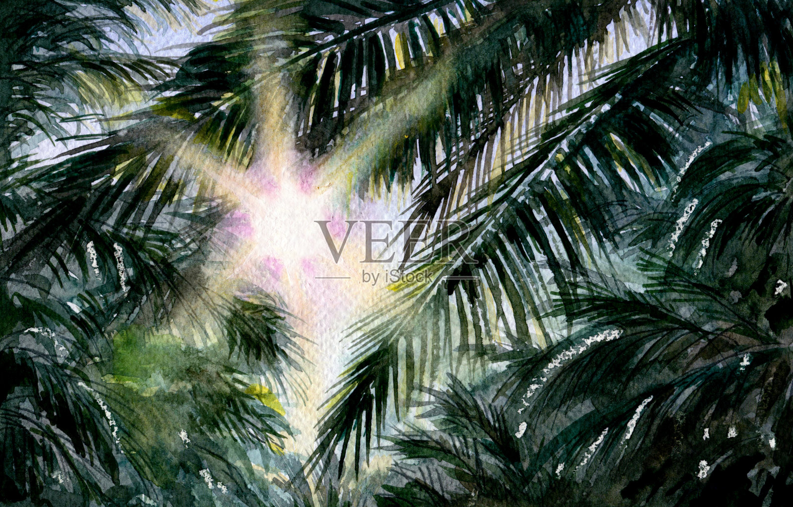 棕榈树和太阳的树枝。插画图片素材