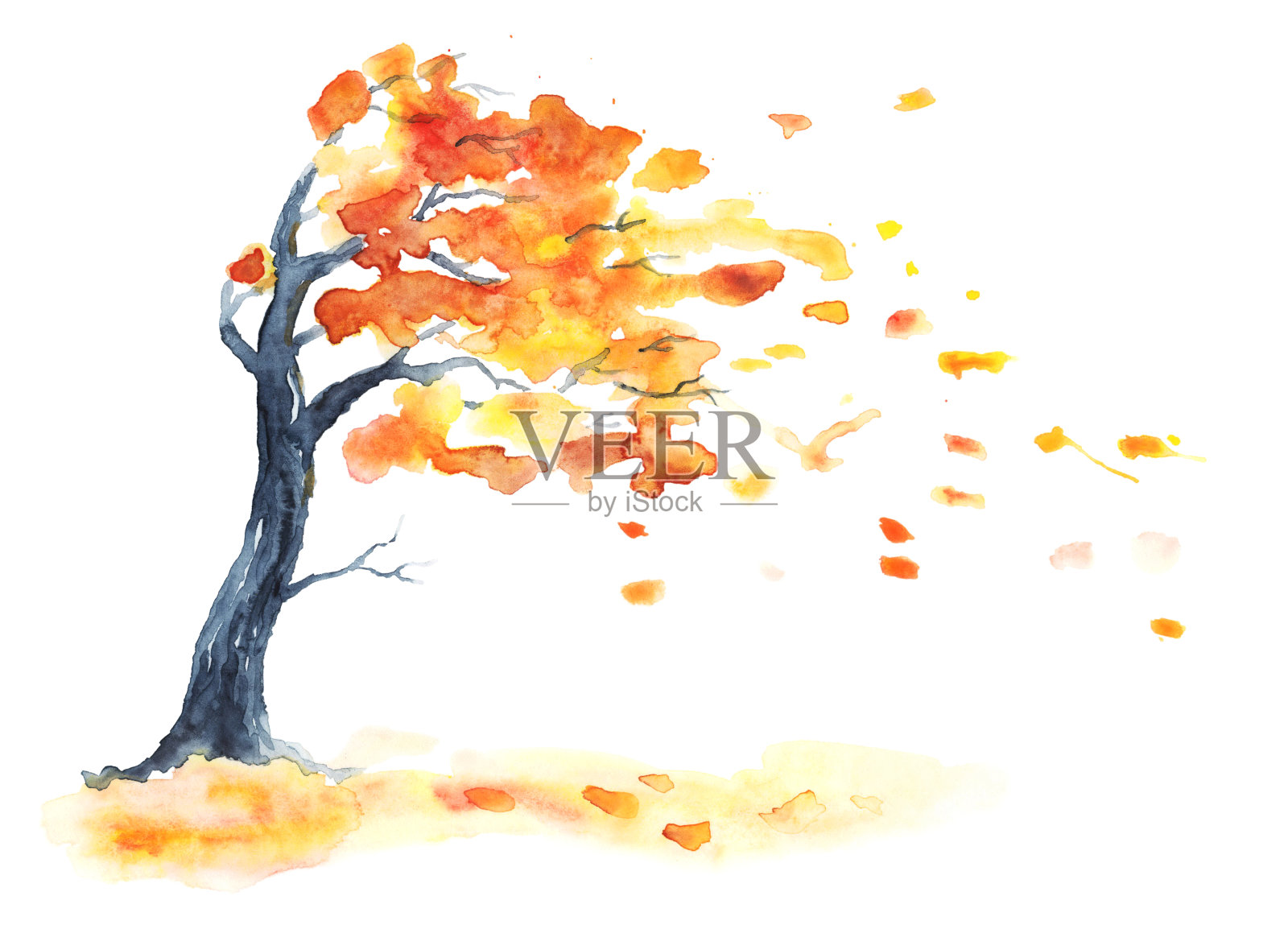 水彩秋天的树与黄色和橙色的叶子。插画图片素材