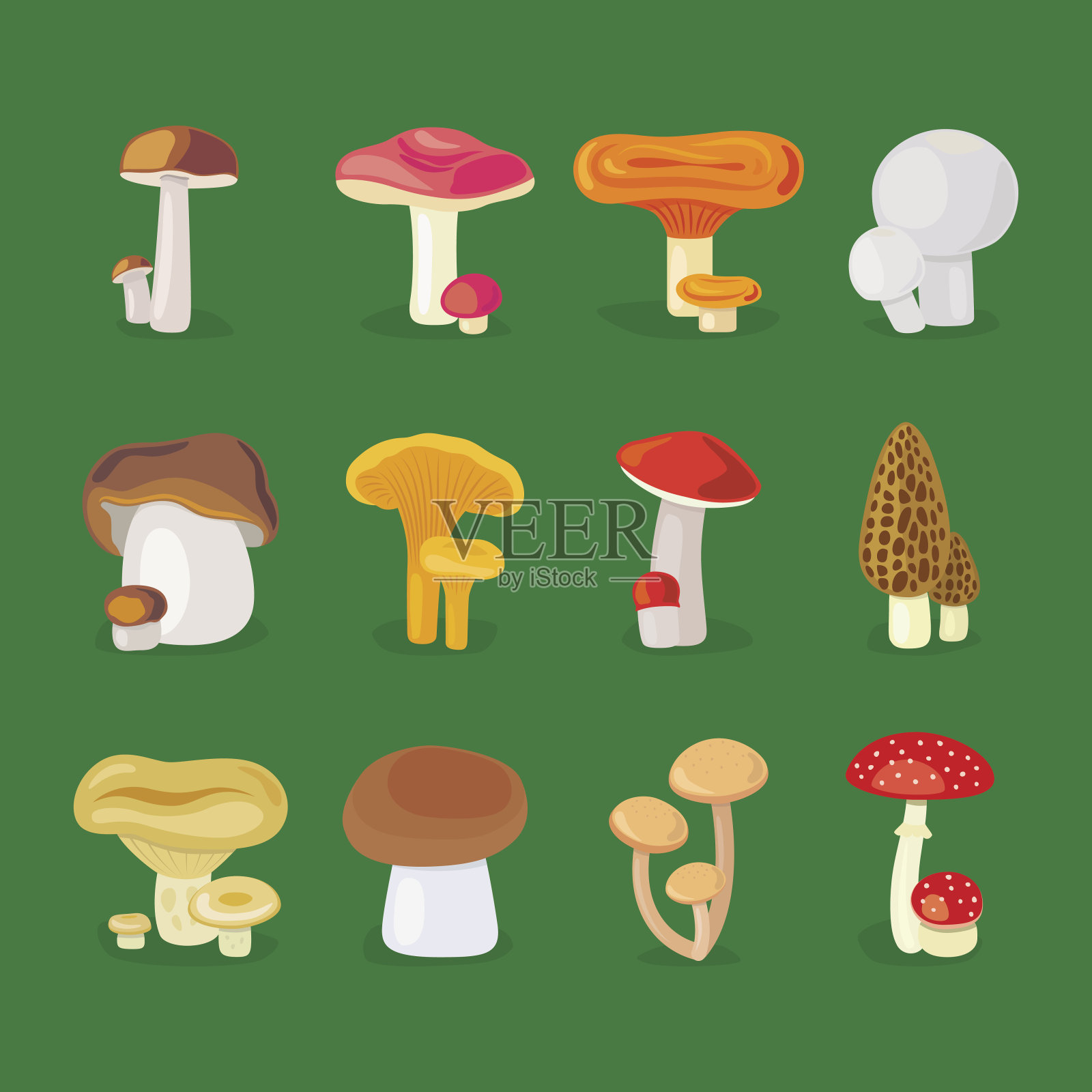 可食用的蘑菇和伞菌的图标设计元素图片