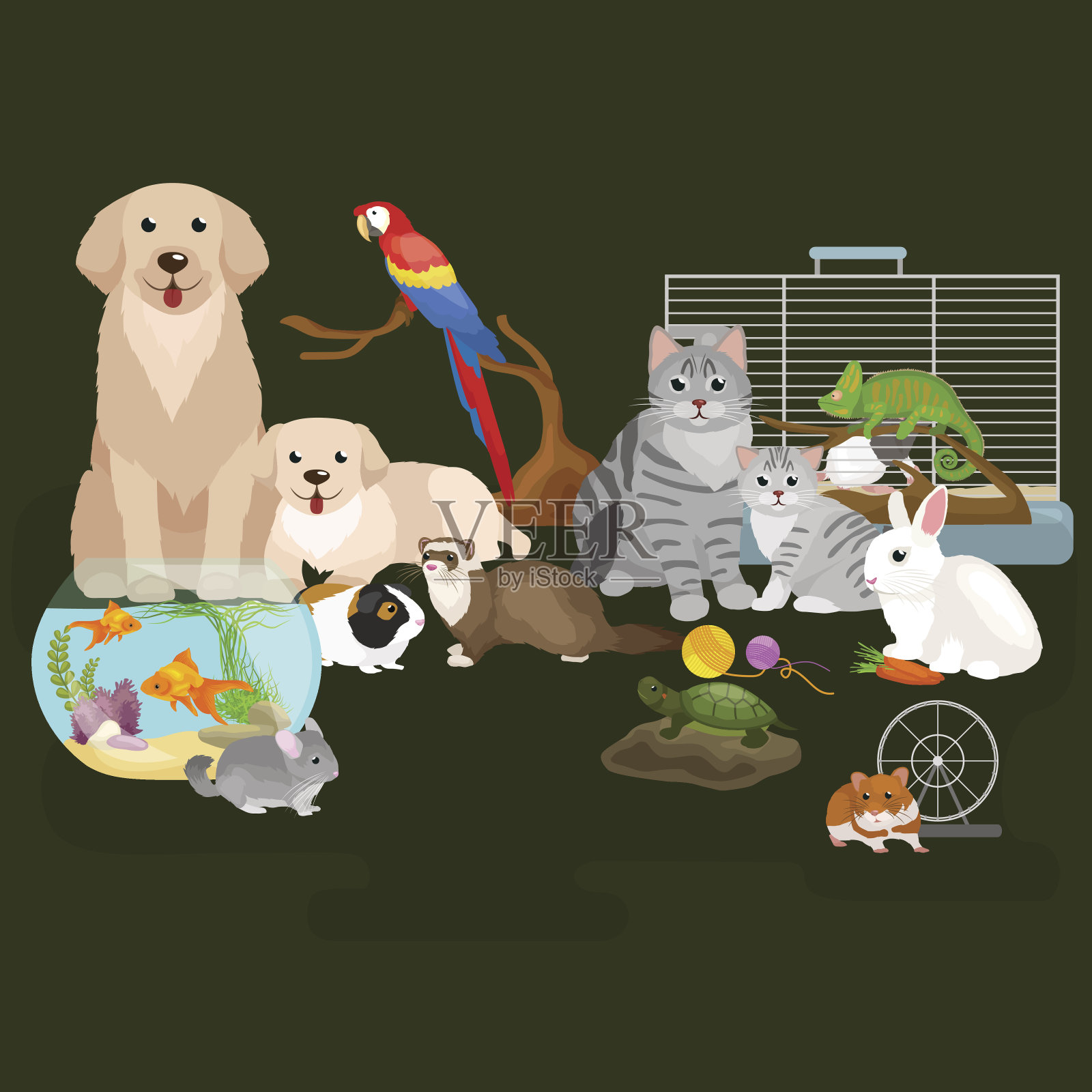 家庭宠物集，猫狗鹦鹉金鱼仓鼠，家养动物设计元素图片