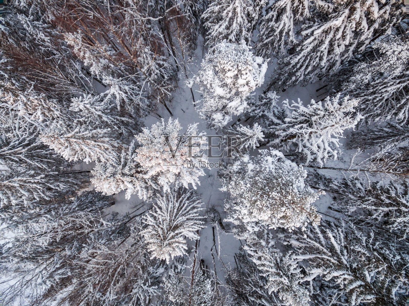 雪域冬季森林与鸟瞰照片摄影图片