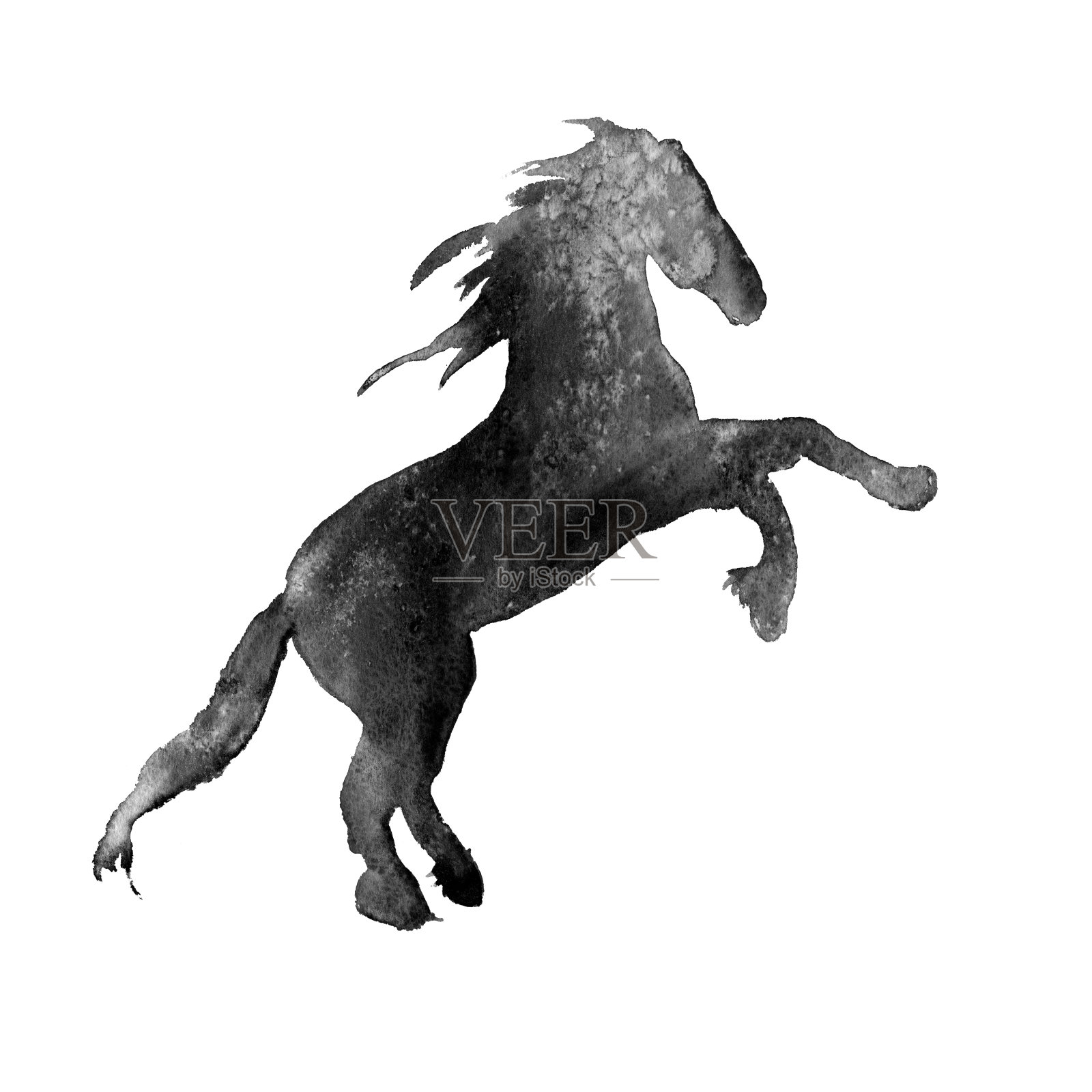 一匹马的剪影。孤立。水彩插图设计元素图片