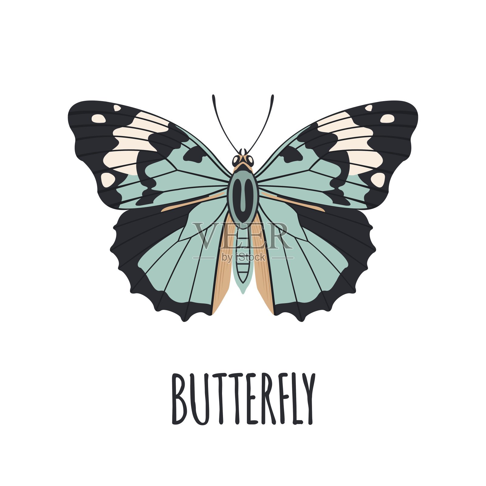 现实蝴蝶在平面风格。设计元素图片