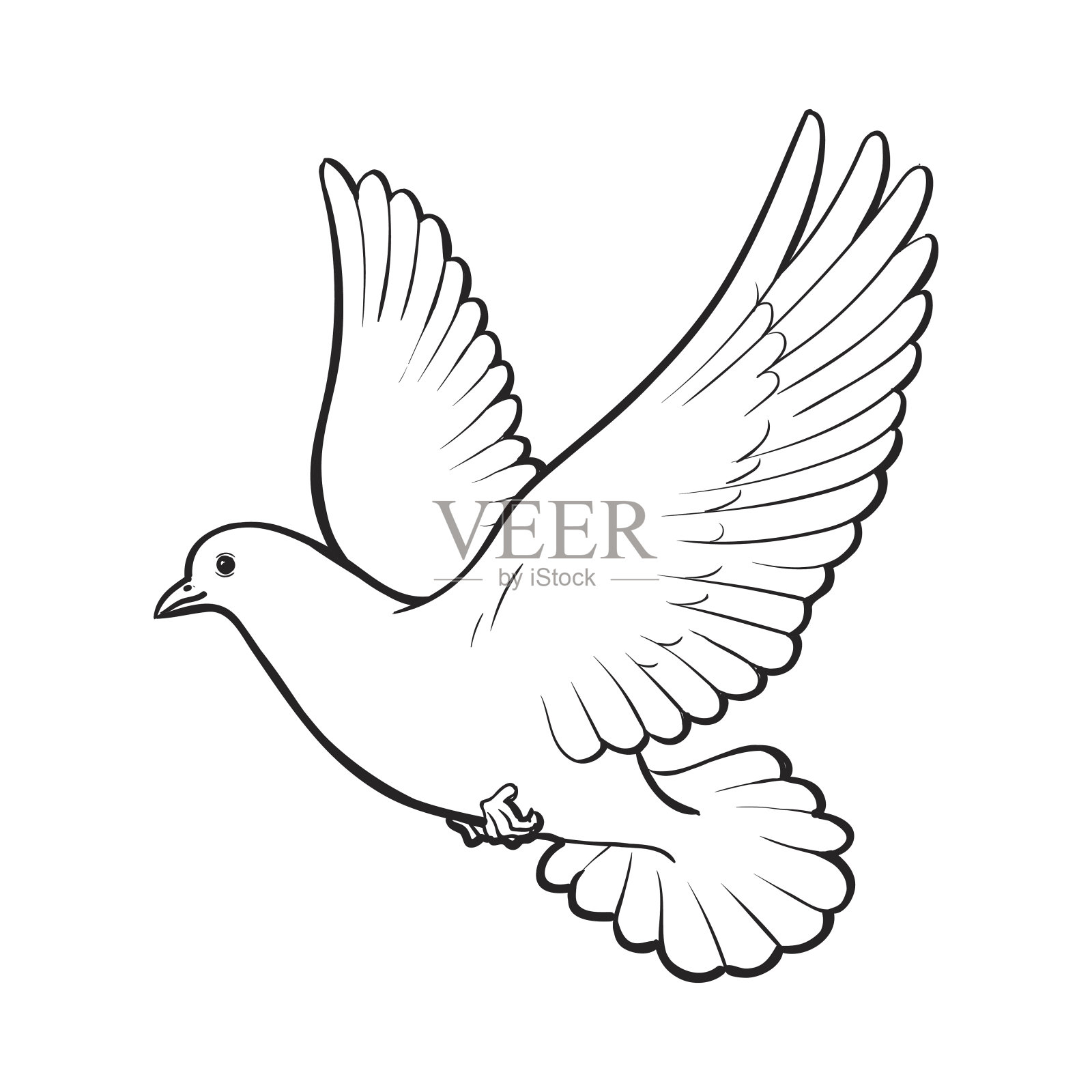 自由飞翔的白鸽，孤立的素描风格插图设计元素图片